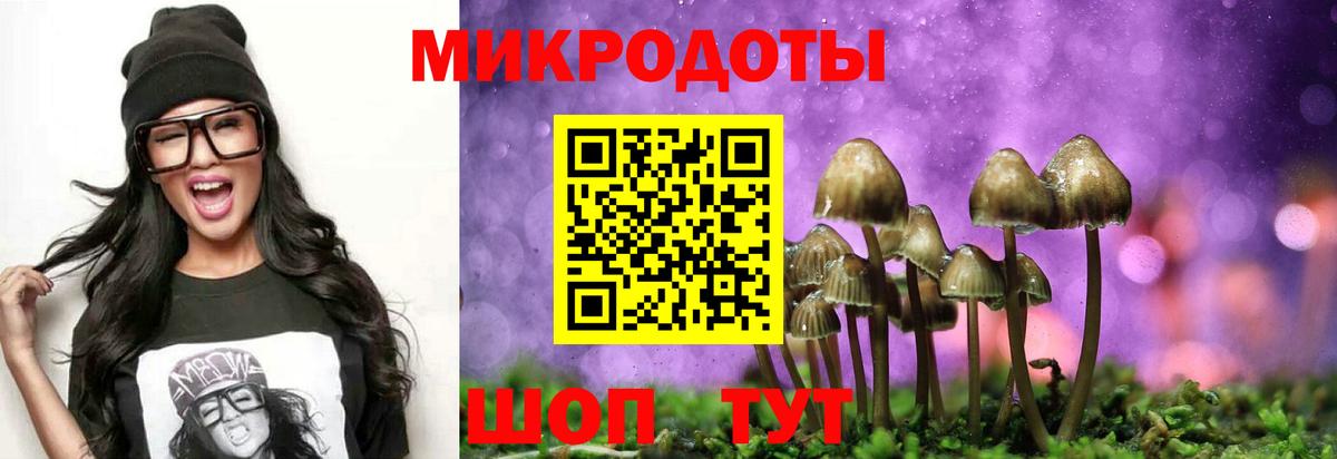 Галлюциногенные грибы Magic Shrooms Новороссийск